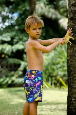 Boardies Apparel Kids Vibrant Dino
