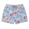 Boardies Apparel Palms Ii
